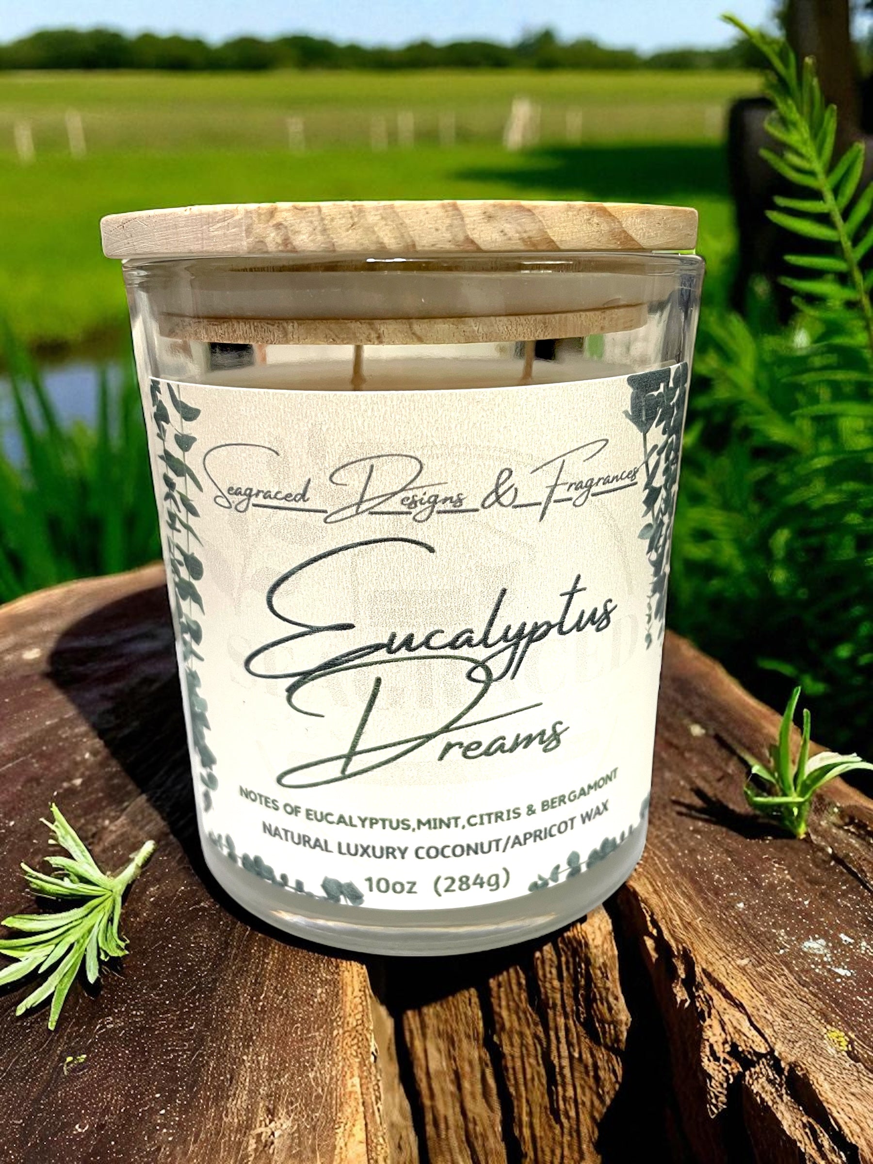 Eucalyptus Dreams 10oz Scented Candle