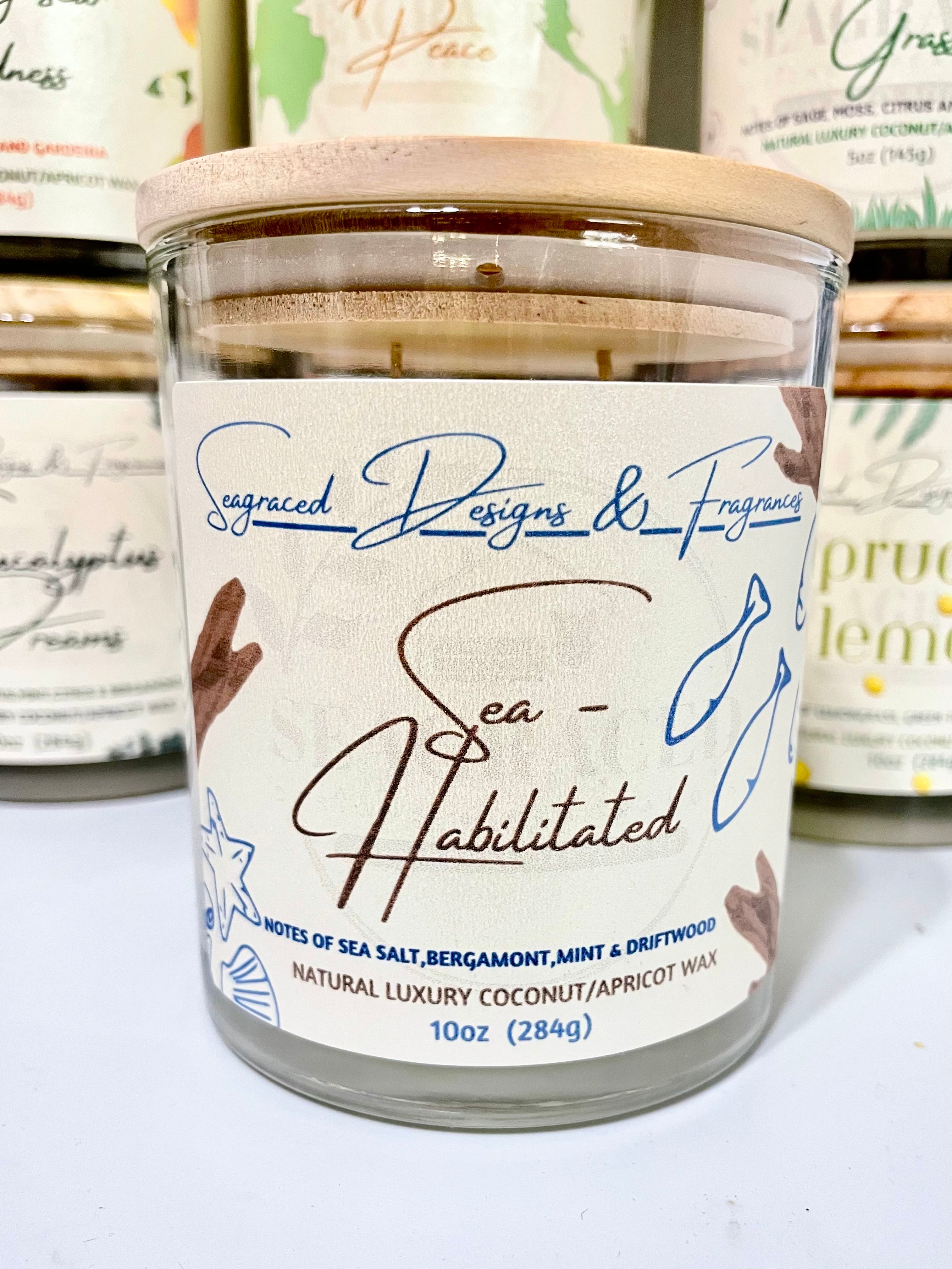 Sea-Habilitated 10oz Scented Candle